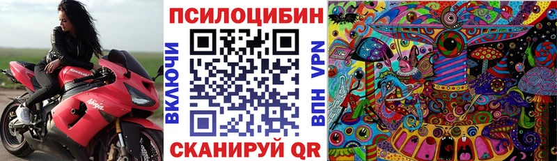 гидра как войти  Десногорск  Галлюциногенные грибы Cubensis  наркота 